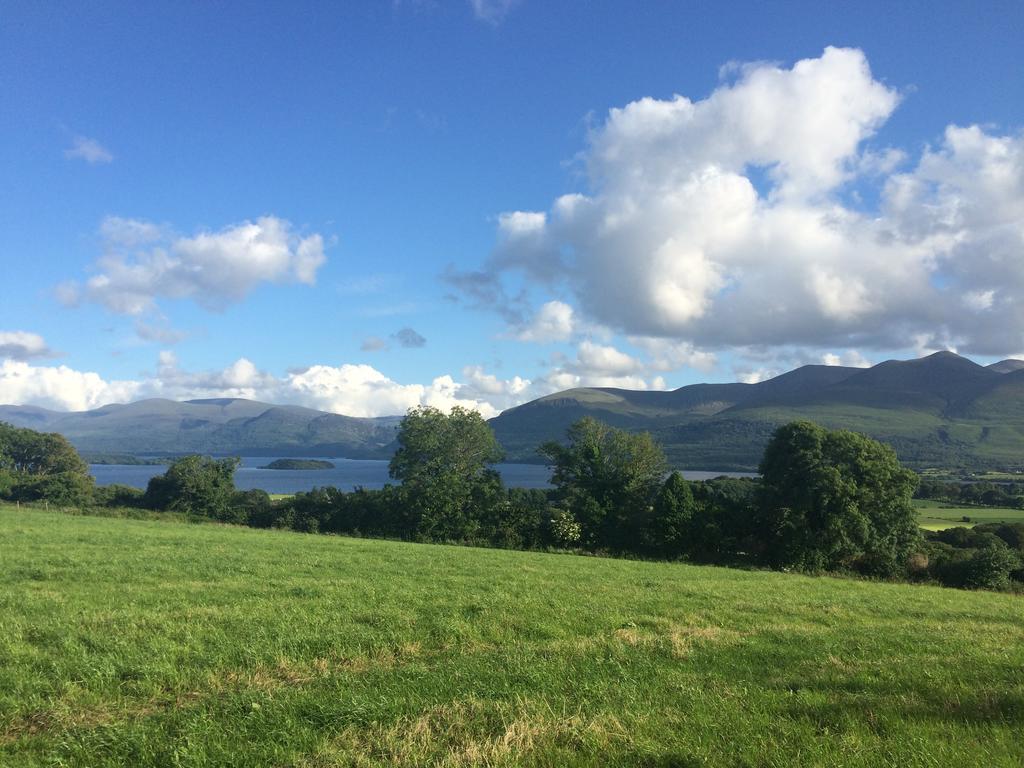 Dromin House Bed and Breakfast Cill Airne Rum bild